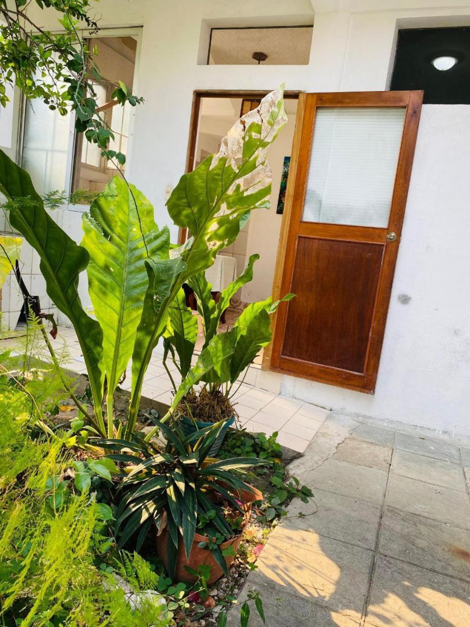 فندق Casa Mima فلوريس المظهر الخارجي الصورة